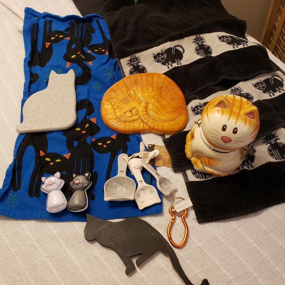 Cat kitchen decor set